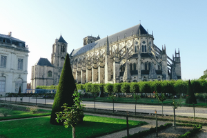 Lutte contre les nuisibles Bourges